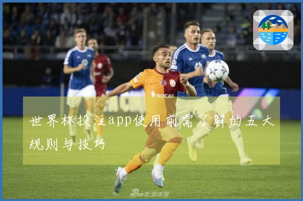 世界杯投注app使用前需了解的五大规则与技巧
