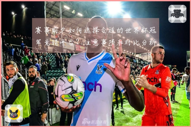赛事前夕如何选择合适的世界杯冠军竞猜平台？注意事项和对比分析在这里