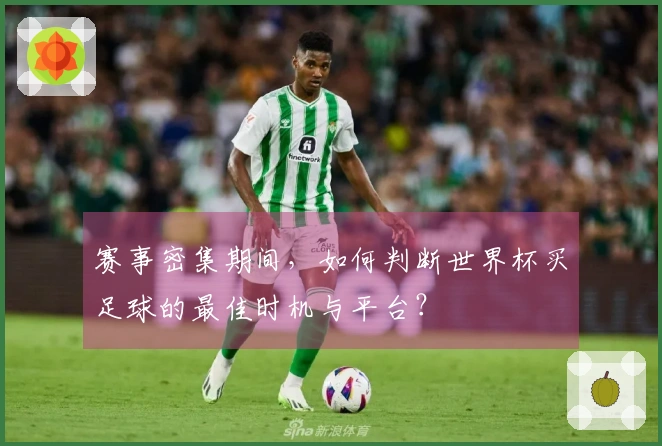 赛事密集期间，如何判断世界杯买足球的最佳时机与平台？