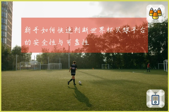 新手如何快速判断世界杯买球平台的安全性与可靠性